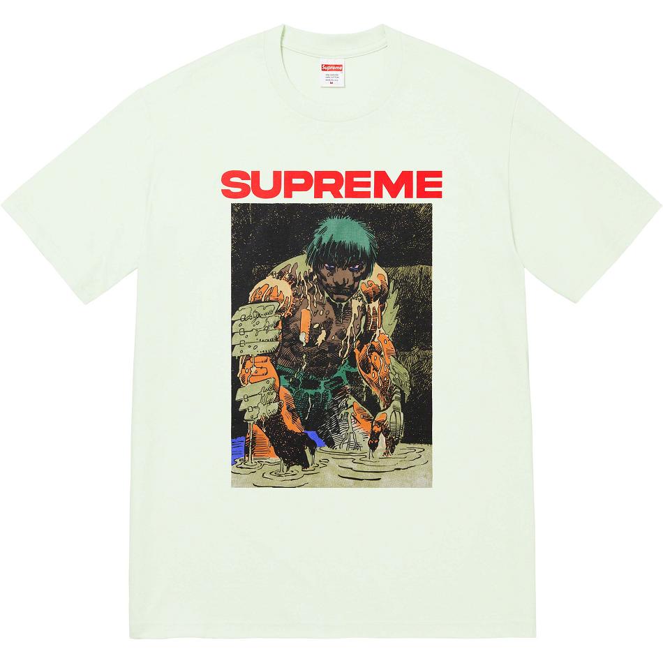 Camiseta Supreme Ronin Tee Verde Menta | MX353EX