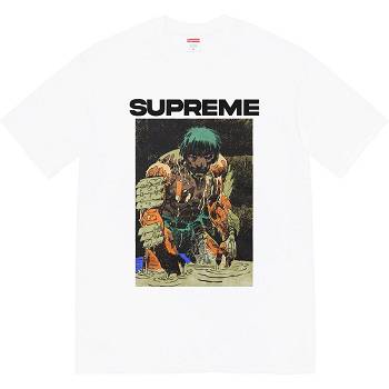 Camiseta Supreme Ronin Tee Blancos | MX354RW