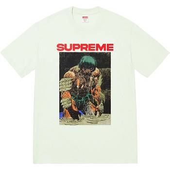 Camiseta Supreme Ronin Tee Verde Menta | MX353EX