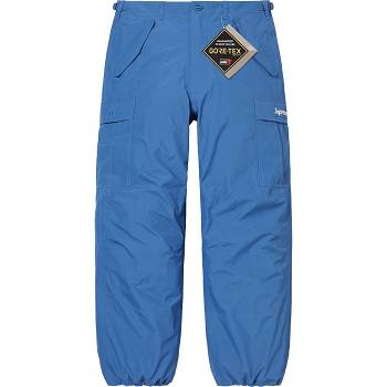 Pantalones Supreme GORE-TEX PACLITE® Cargo Pant Azules | MX180SO